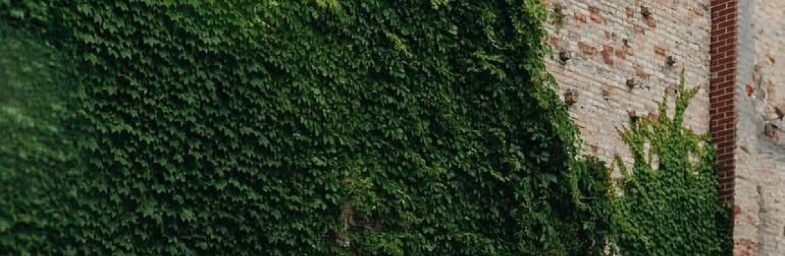 Black Mountain Motorworks Cover Image