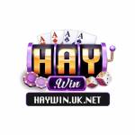 Haywin Cổng Game Giải Trí profile picture