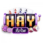 Haywin Cổng Game Chính Thức profile picture