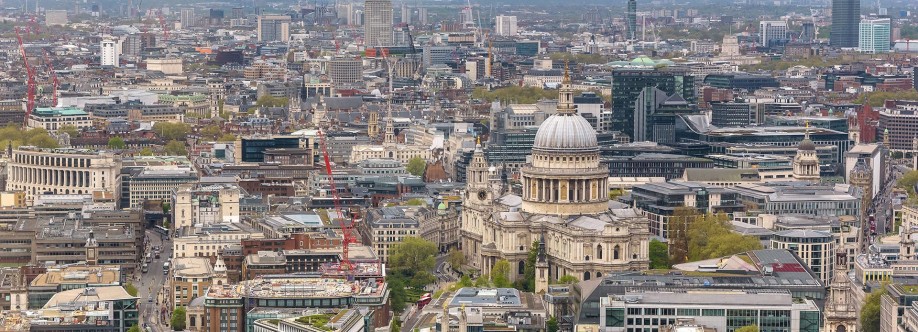 Polish levenes Cover Image