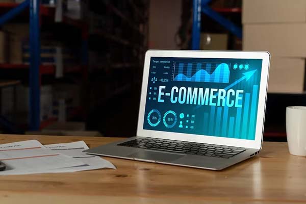 Best Ecommerce website design and development company in noida