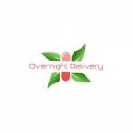 Overnight Delivery profile picture