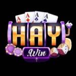 Cổng Game Haywin Profile Picture