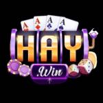 Haywin4com Profile Picture