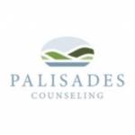 Palisades Counseling Profile Picture