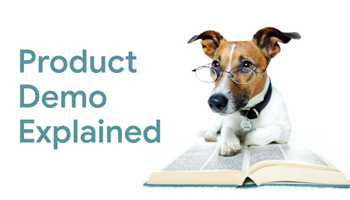 Product Demo Explained: Types, Scripts and Examples | Velo