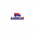 A Clean Pro Profile Picture