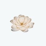 lotusatqueenswaymedical Profile Picture