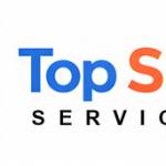 topseoservices Profile Picture