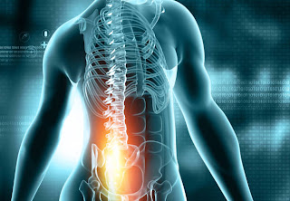 Chiropractor Lafayette CO: Your Solution for Lasting Relief : uccbould — LiveJournal