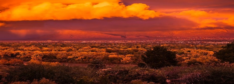Duke City Property Investments Inc. Cover Image