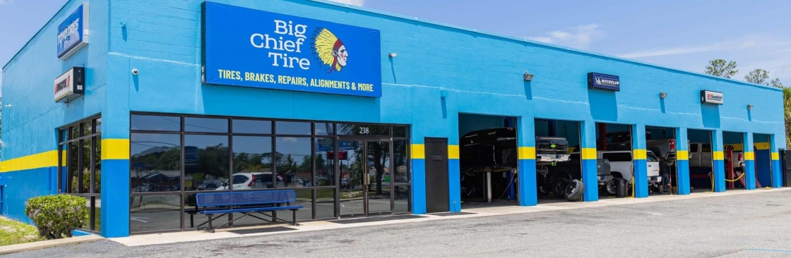 Big Chief Tire Cover Image