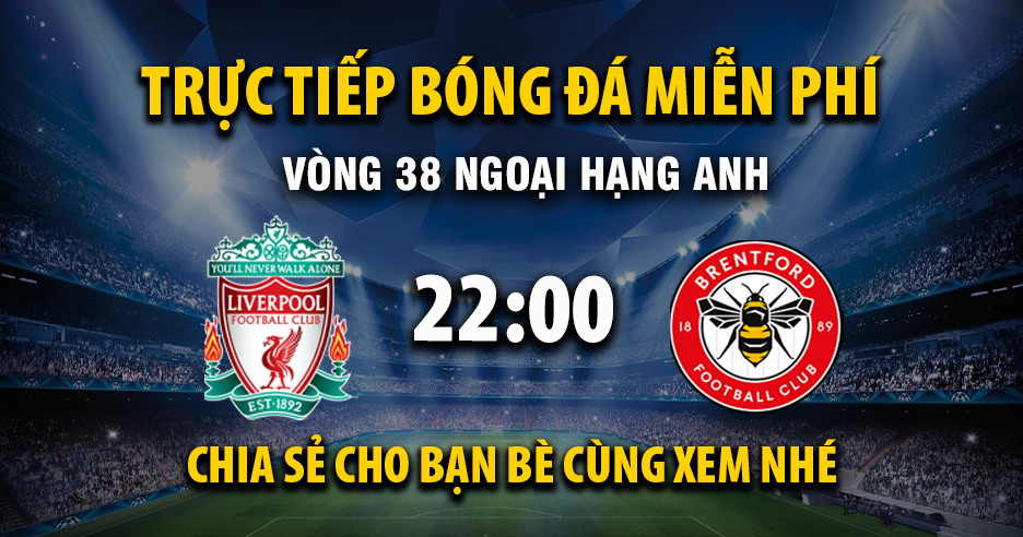 Trực tiếp Liverpool vs Brentford lúc 22:00, ngày 24/05 -