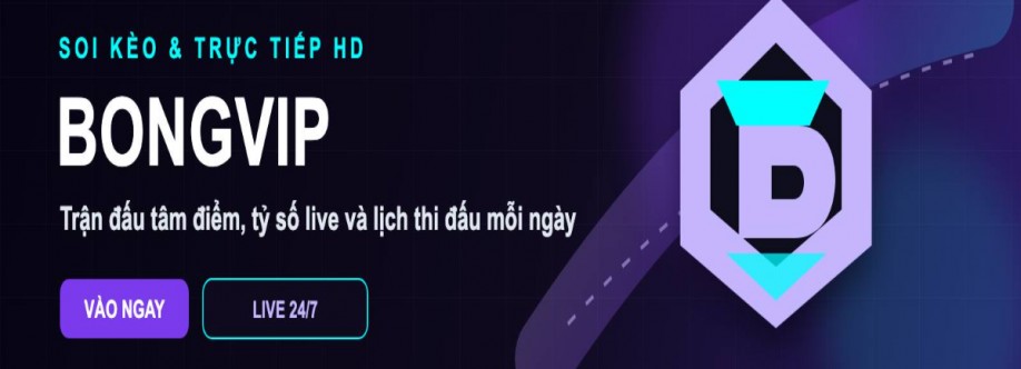 Nền Tảng BONGVIP Cover Image