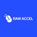 Raw Accel Profile Picture