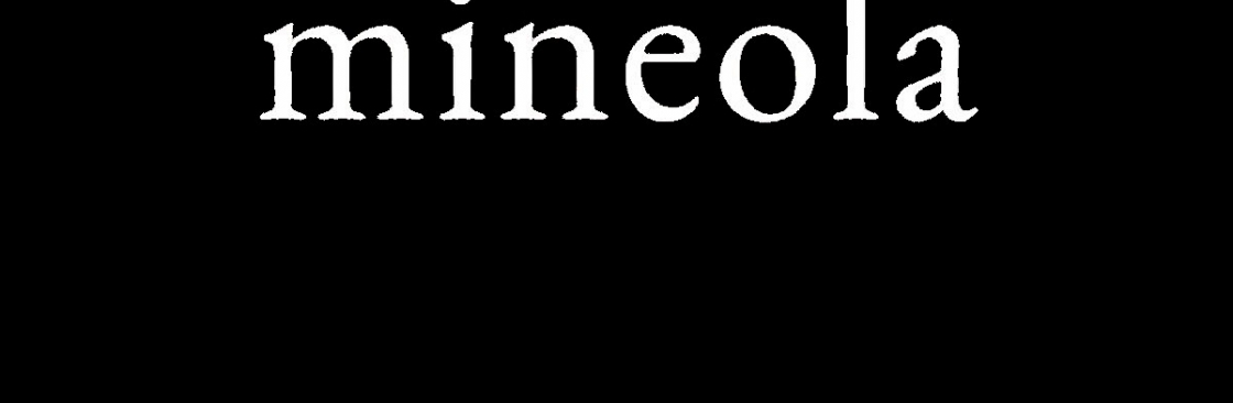 mineola Real Estate LLC Cover Image
