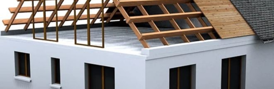 SBBSWindowsAnd Roofs Cover Image