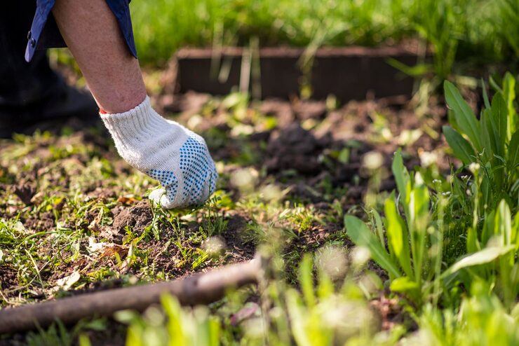 Garden Makeover Sydney: Transform Your Outdoor Space into a Beautiful Garden - My SEO Directory