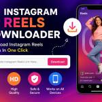 Instagram Reels Downloader Profile Picture
