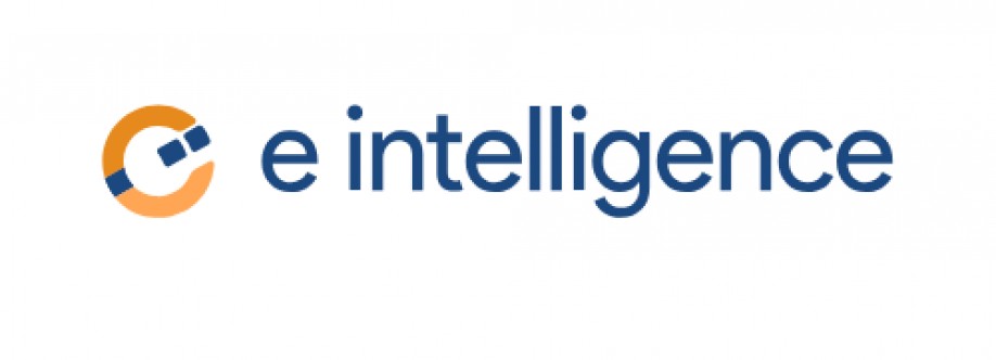 eintelligence web Cover Image