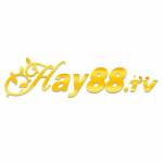 hay888gbnet Profile Picture