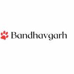 Tiger Safari Bandhavgarh Profile Picture