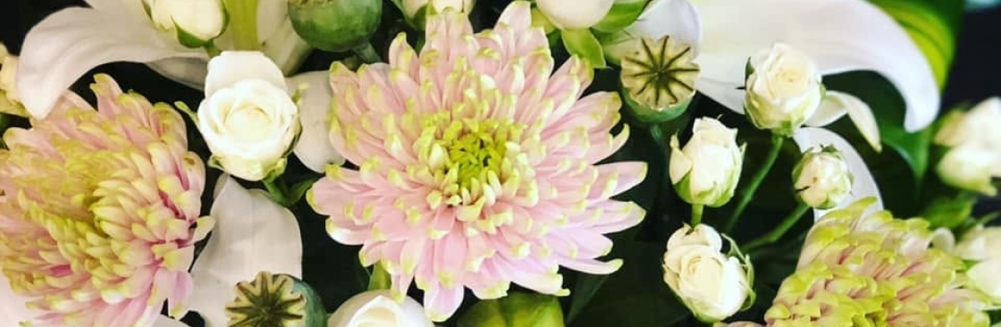 Mathews Camroon Cover Image
