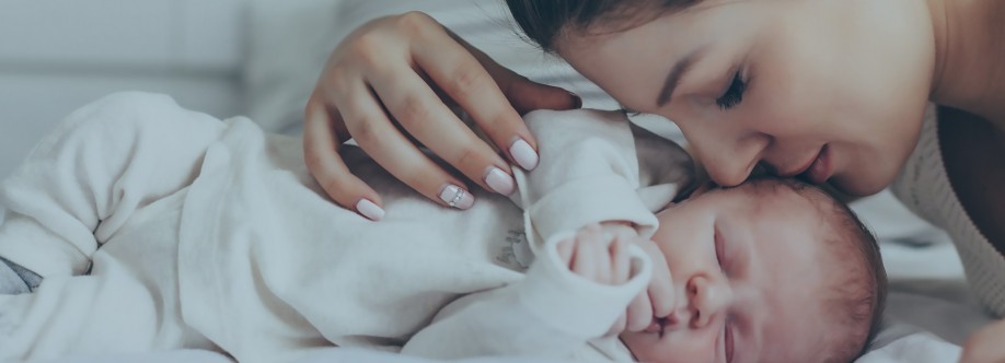 Fakih IVF Cover Image