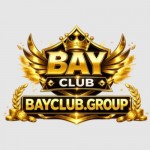 bayclub group Profile Picture