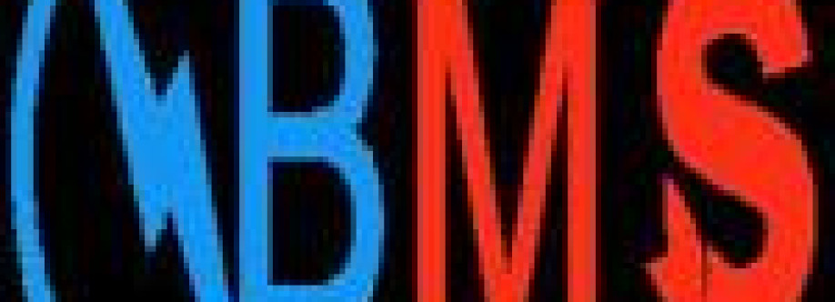 BMS ELECTRONCIS Cover Image