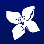 BPI Net Empresas Profile Picture