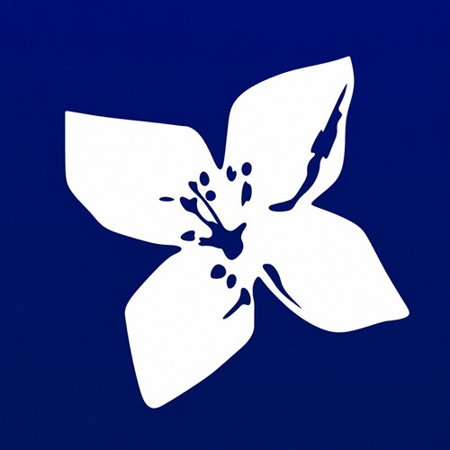 BPI Net Empresas Profile Picture