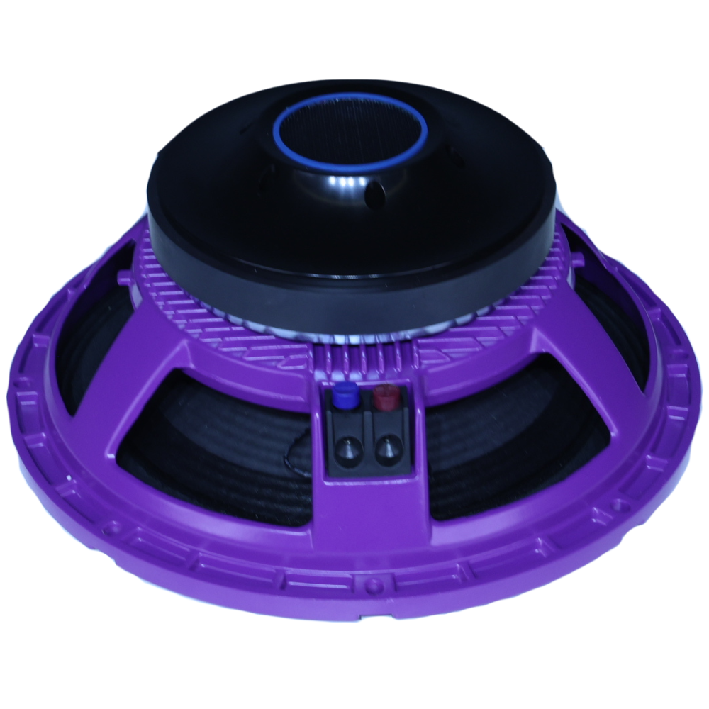 Powerful 15 Inch 1000 Watt Ferrite DJ Speaker KT 15-1000