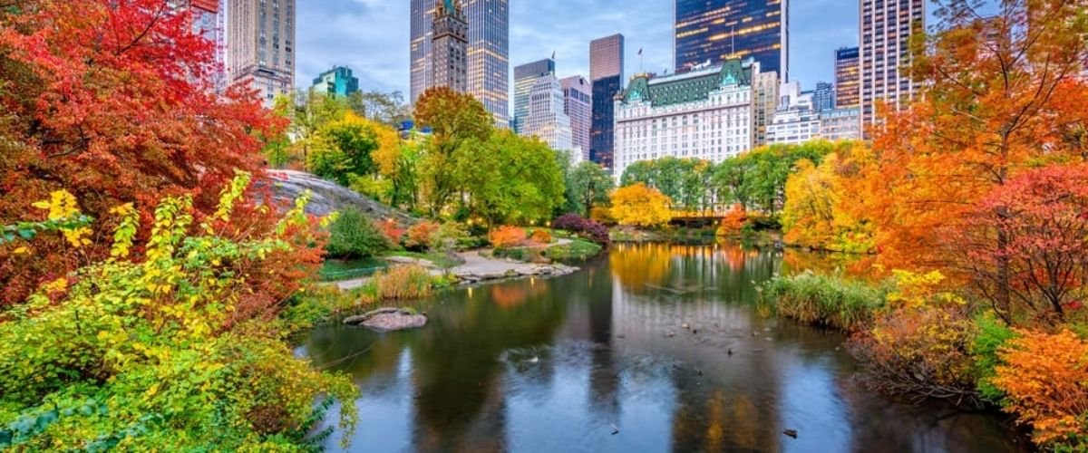 Turkish Airlines New York Office +1-888-527-6058